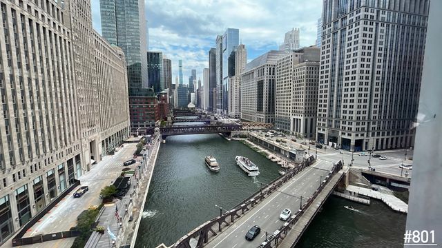 313 W Wolf Point Plaza 701, Chicago, IL 60654