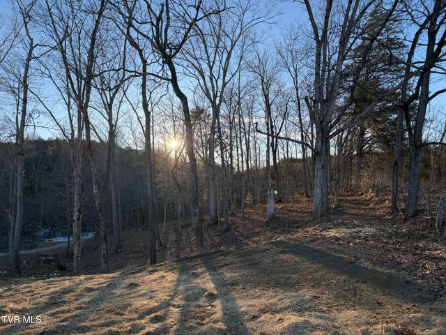 220 Redwood Lane, Mosheim, TN 37818