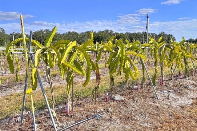 6018 NW COUNTY ROAD 661A, Arcadia, FL 34266