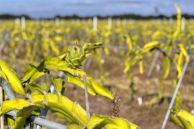 6018 NW COUNTY ROAD 661A, Arcadia, FL 34266