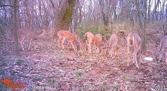 15562 State Highway 83, Howe, OK 74940