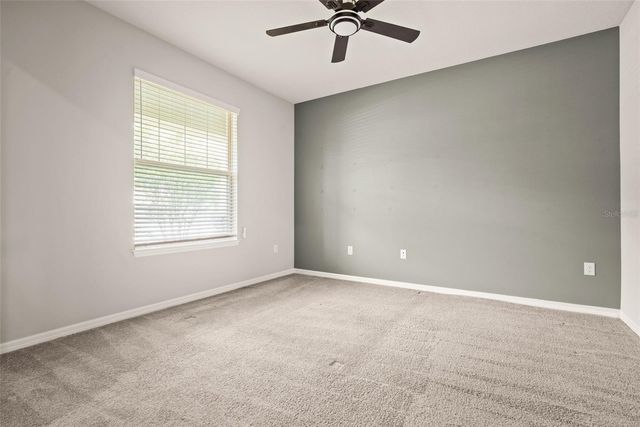 18929 BIRCHWOOD GROVES DRIVE, Lutz, FL 33558