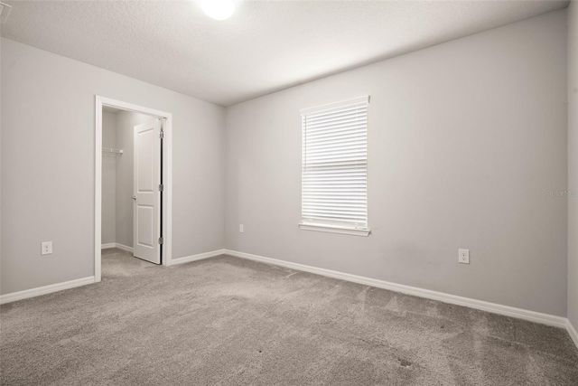 18929 BIRCHWOOD GROVES DRIVE, Lutz, FL 33558