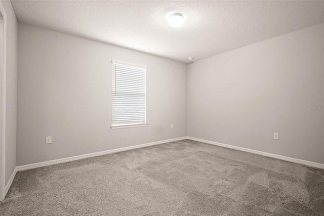 18929 BIRCHWOOD GROVES DRIVE, Lutz, FL 33558