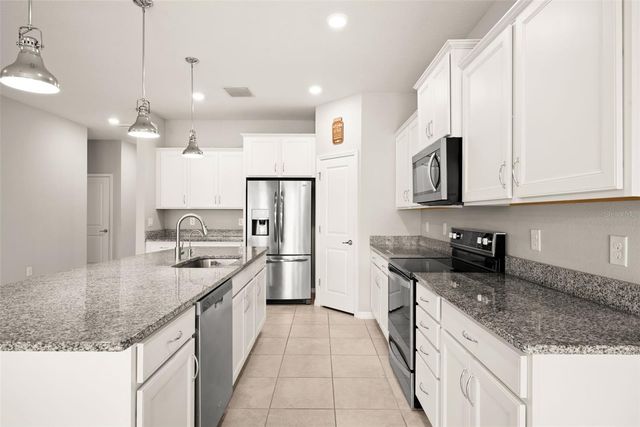 18929 BIRCHWOOD GROVES DRIVE, Lutz, FL 33558