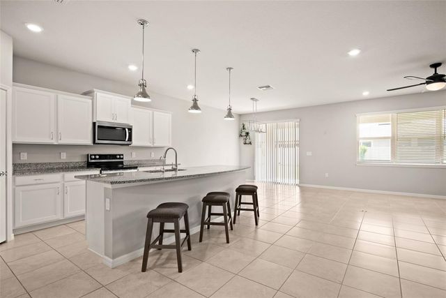 18929 BIRCHWOOD GROVES DRIVE, Lutz, FL 33558