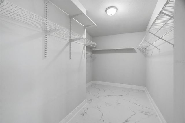 11320 PARTRIDGE DRIVE, Tampa, FL 33625
