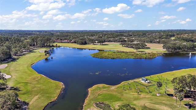 9616 SAN FERNANDO COURT, Howey In The Hills, FL 34737