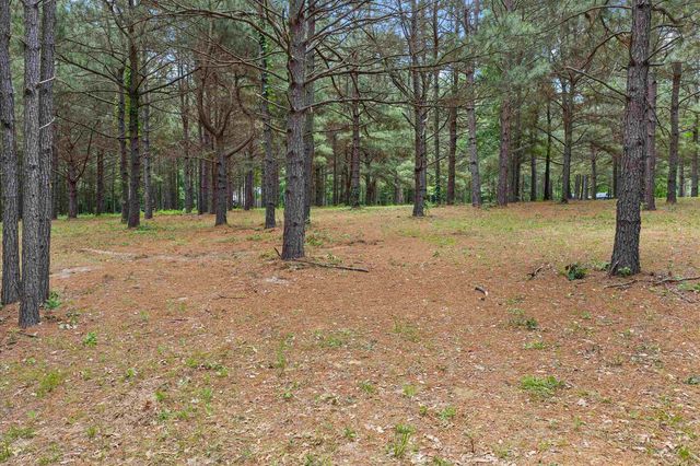 12000 CR 2126, Henderson, TX 75652