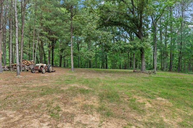 12000 CR 2126, Henderson, TX 75652