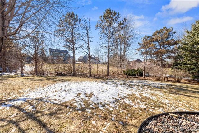 10592 Hawthorn Trail, Woodbury, MN 55129