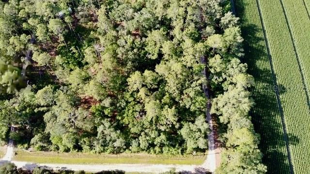 5075 IRVING STREET, Hastings, FL 32145