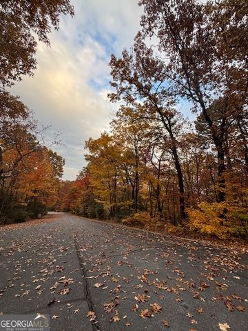 595 Whispering Dale Drive, Clarkesville, GA 30523