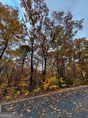 595 Whispering Dale Drive, Clarkesville, GA 30523