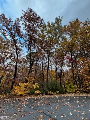 595 Whispering Dale Drive, Clarkesville, GA 30523