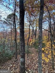 595 Whispering Dale Drive, Clarkesville, GA 30523