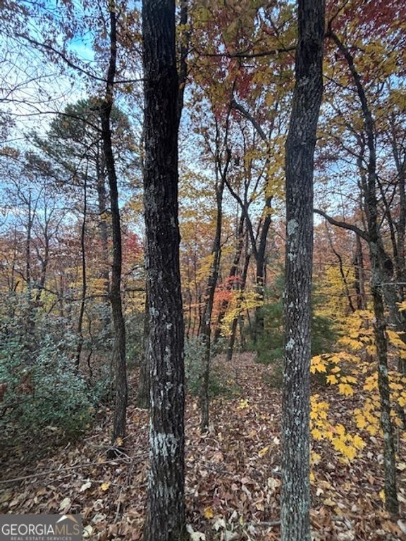 595 Whispering Dale Drive, Clarkesville, GA 30523