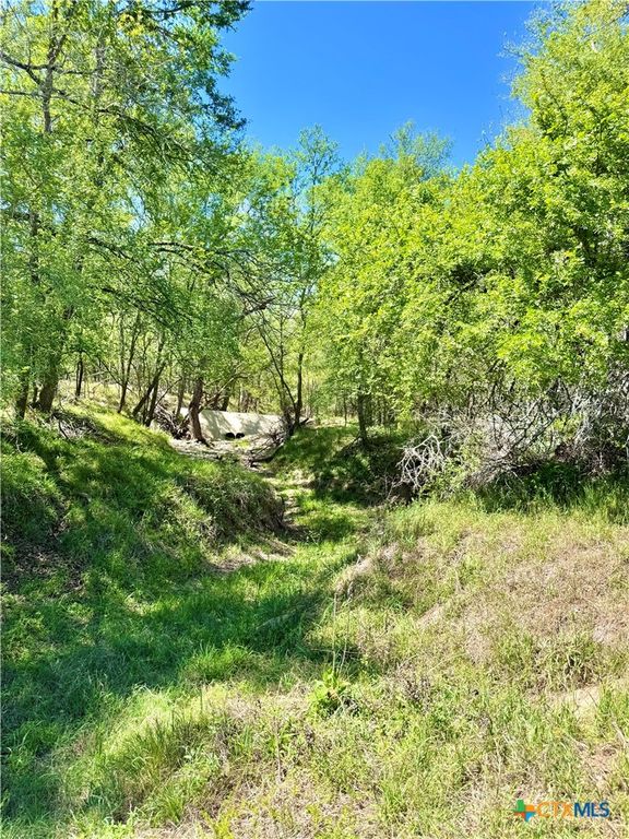 Image 1 of property listing at 3775 BAKER Road, Kingsbury, TX 78638