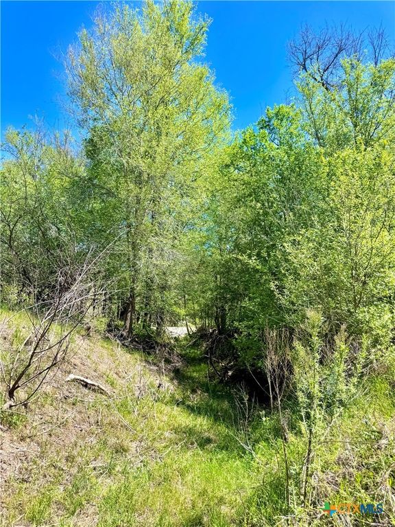 Image 10 of property listing at 3775 BAKER Road, Kingsbury, TX 78638