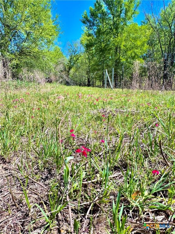 Image 11 of property listing at 3775 BAKER Road, Kingsbury, TX 78638