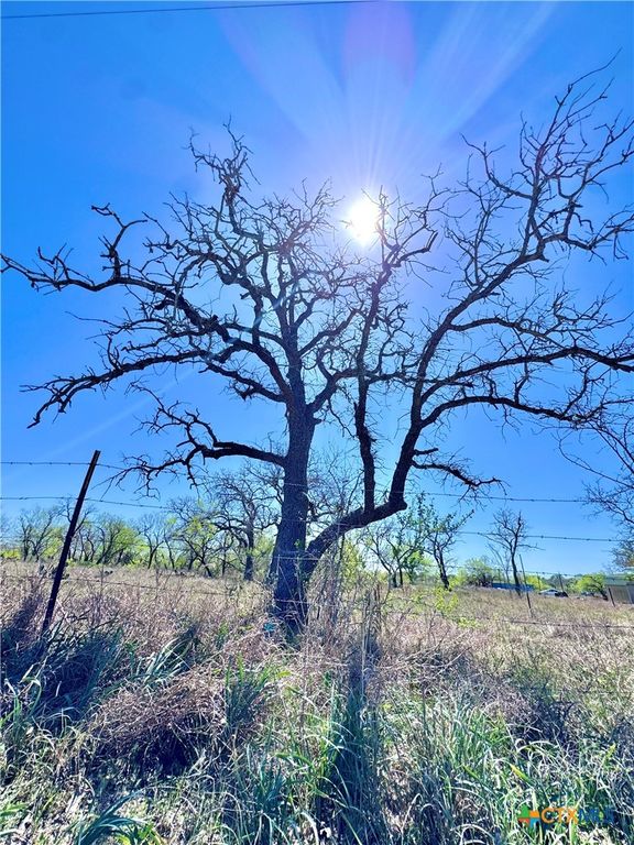Image 4 of property listing at 3775 BAKER Road, Kingsbury, TX 78638
