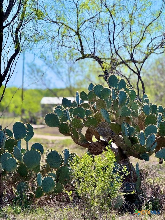 Image 5 of property listing at 3775 BAKER Road, Kingsbury, TX 78638