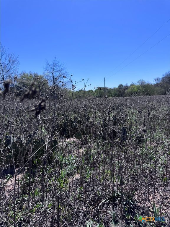 Image 6 of property listing at 3775 BAKER Road, Kingsbury, TX 78638
