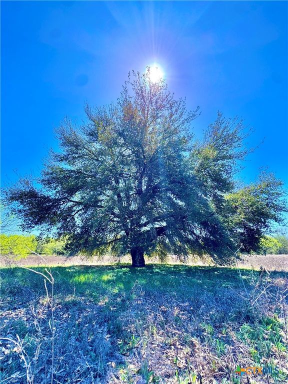 Image 8 of property listing at 3775 BAKER Road, Kingsbury, TX 78638