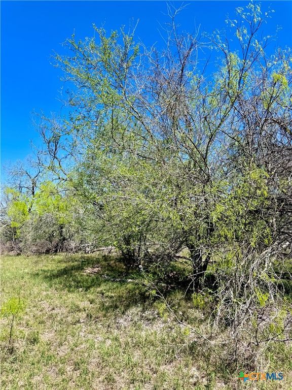 Image 9 of property listing at 3775 BAKER Road, Kingsbury, TX 78638
