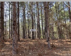 1 Tilly Branch, Northport, AL 35475