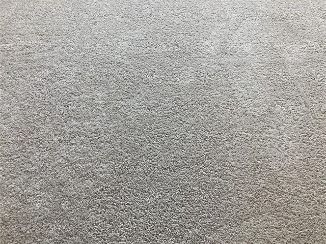 280 LAST MANGO, Daytona Beach, FL 32124