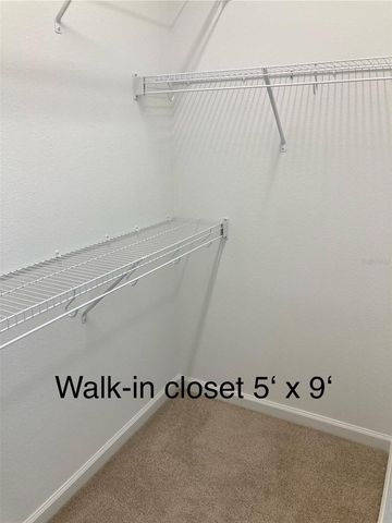 280 LAST MANGO, Daytona Beach, FL 32124