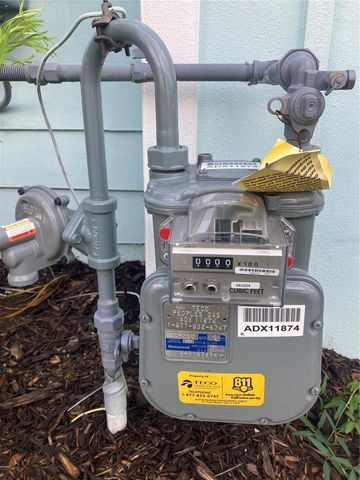 280 LAST MANGO, Daytona Beach, FL 32124