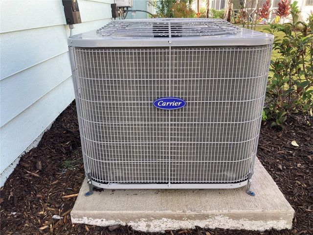 280 LAST MANGO, Daytona Beach, FL 32124