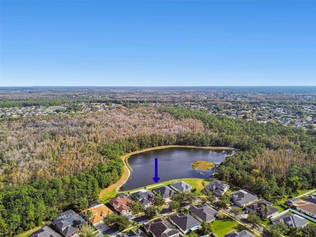 9311 MANGROVE COURT, Tampa, FL 33647