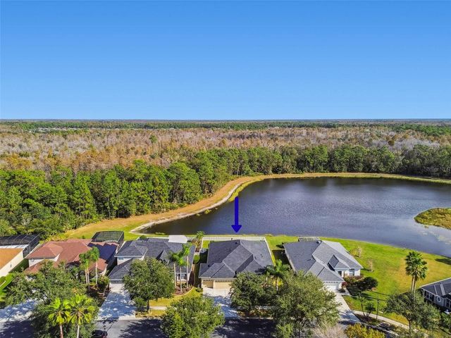 9311 MANGROVE COURT, Tampa, FL 33647