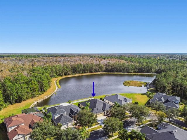 9311 MANGROVE COURT, Tampa, FL 33647