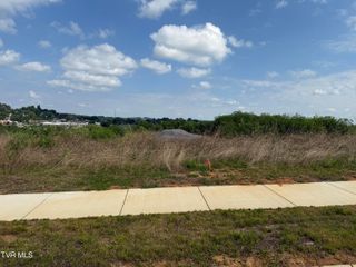 Lot 28 Glaze Farm Way, Johnson City, TN 37601