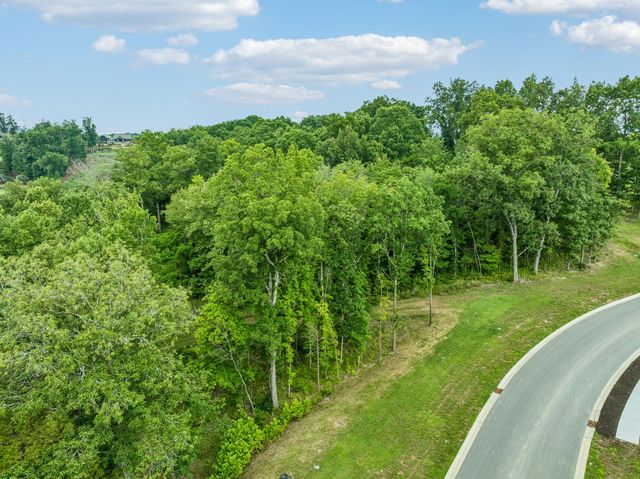 9208 Troubadour Dr, College Grove, TN 37046