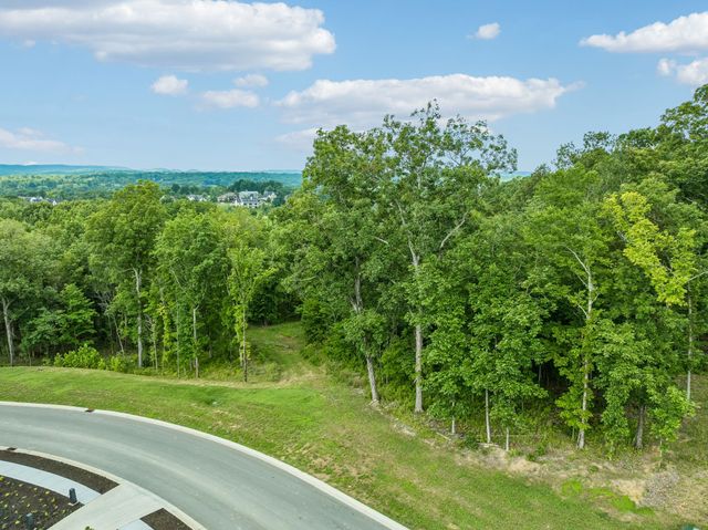 9208 Troubadour Dr, College Grove, TN 37046