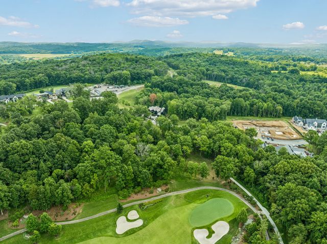 9208 Troubadour Dr, College Grove, TN 37046