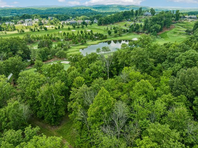 9208 Troubadour Dr, College Grove, TN 37046