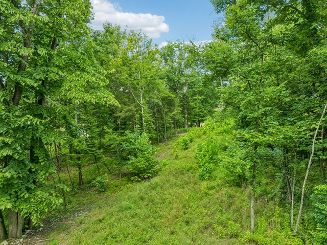 9208 Troubadour Dr, College Grove, TN 37046