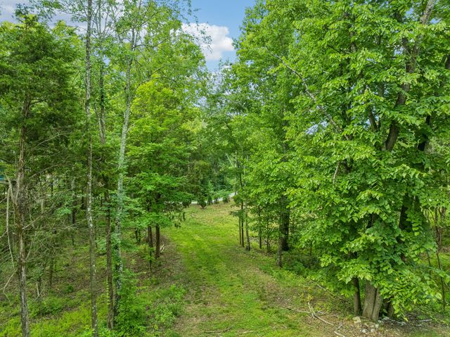 9208 Troubadour Dr, College Grove, TN 37046