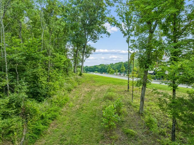 9208 Troubadour Dr, College Grove, TN 37046