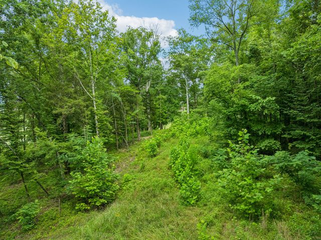 9208 Troubadour Dr, College Grove, TN 37046