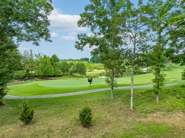 9208 Troubadour Dr, College Grove, TN 37046