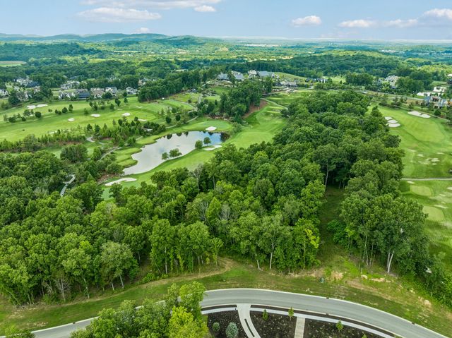 9208 Troubadour Dr, College Grove, TN 37046