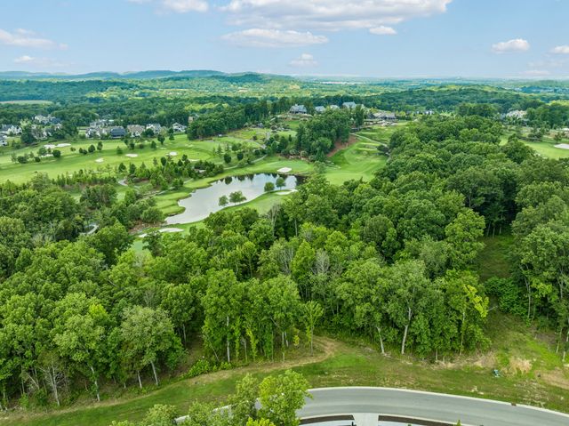 9208 Troubadour Dr, College Grove, TN 37046
