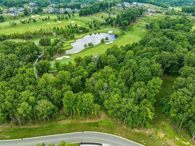 9208 Troubadour Dr, College Grove, TN 37046